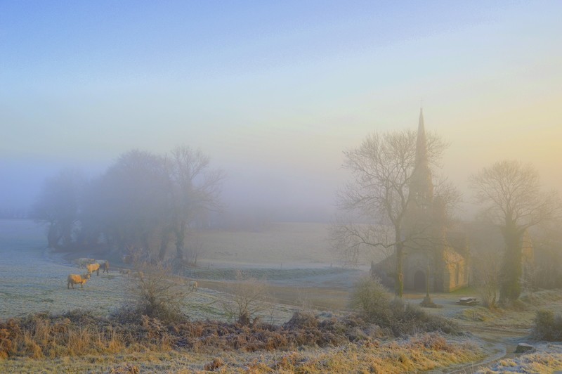 Dans la brume