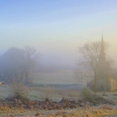 Dans la brume