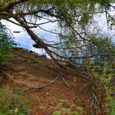 Etang Guerlesquin