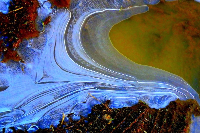 Flaque d'eau un matin de glace