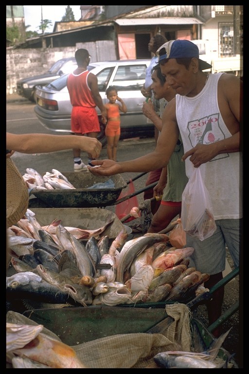 vente de poissons