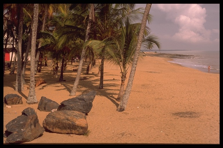 plage près de cayenne