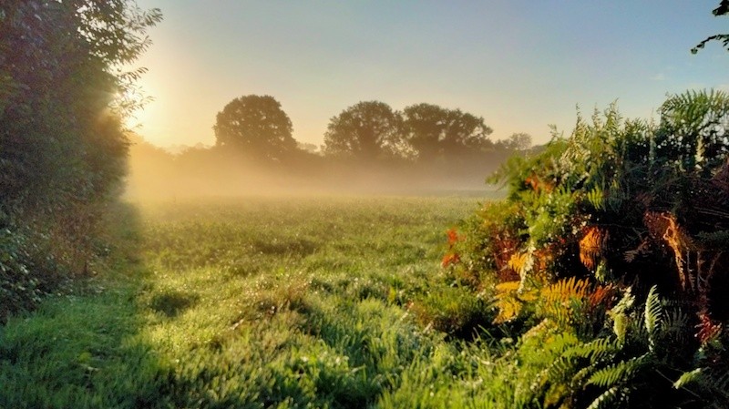 un matin à les maes