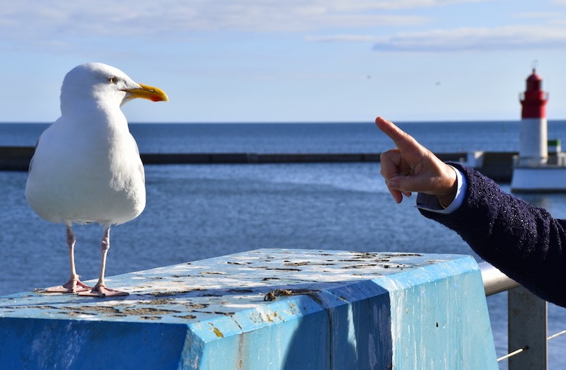 rencontre